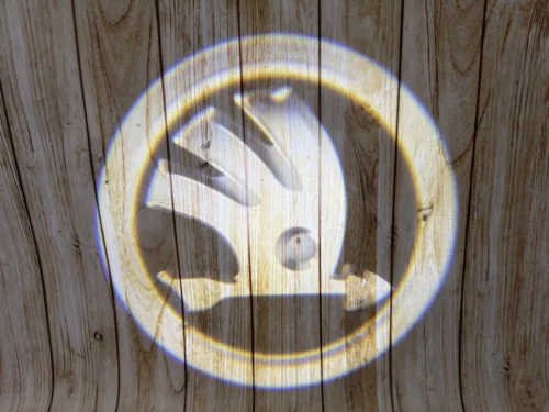 LED-проекція логотипу Skoda логотип для дверей (універсальний комплект, 2 шт.)